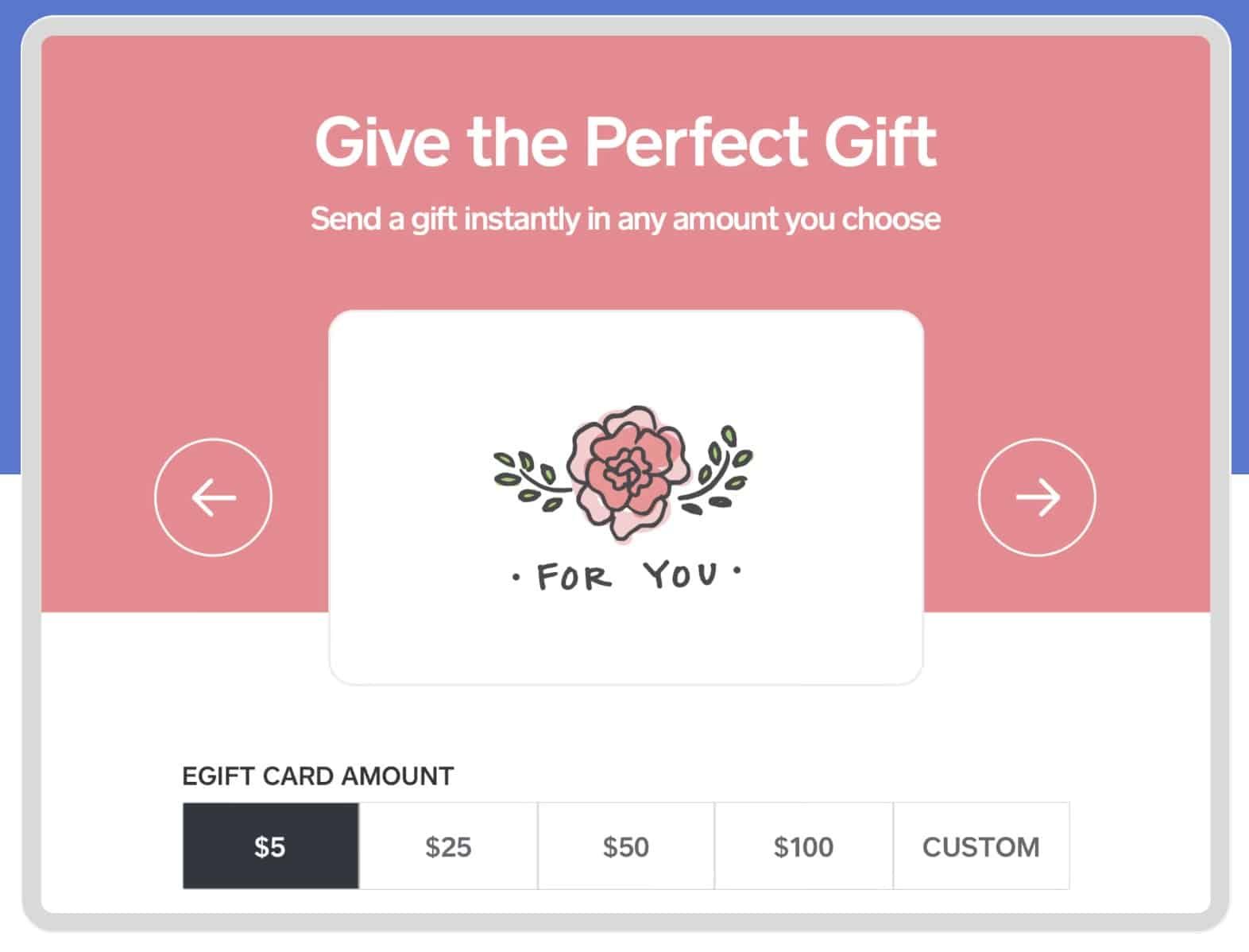 A website that says give the perfect gift send a gift instantly in any amount you choose