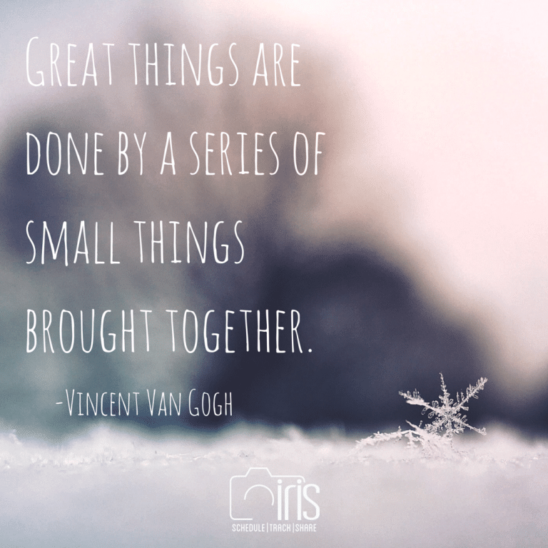 A quote by vincent van gogh says great things are done by a series of small things brought together