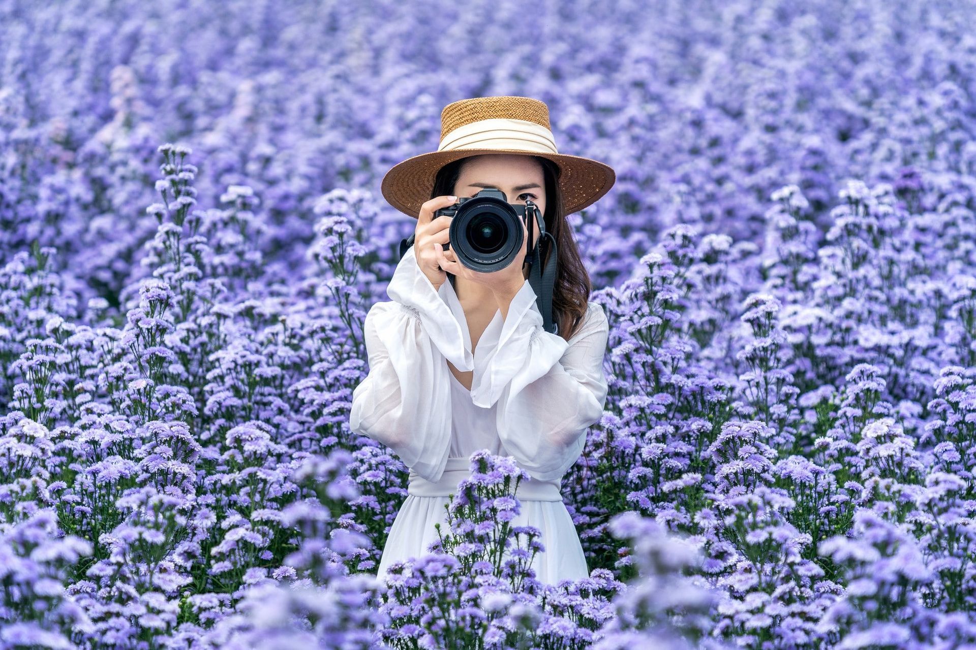 Asian Photographer Capturing Margaret Flowers  Field