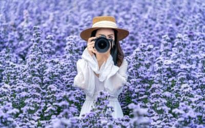 A woman is taking a picture of purple flowers with a camera.