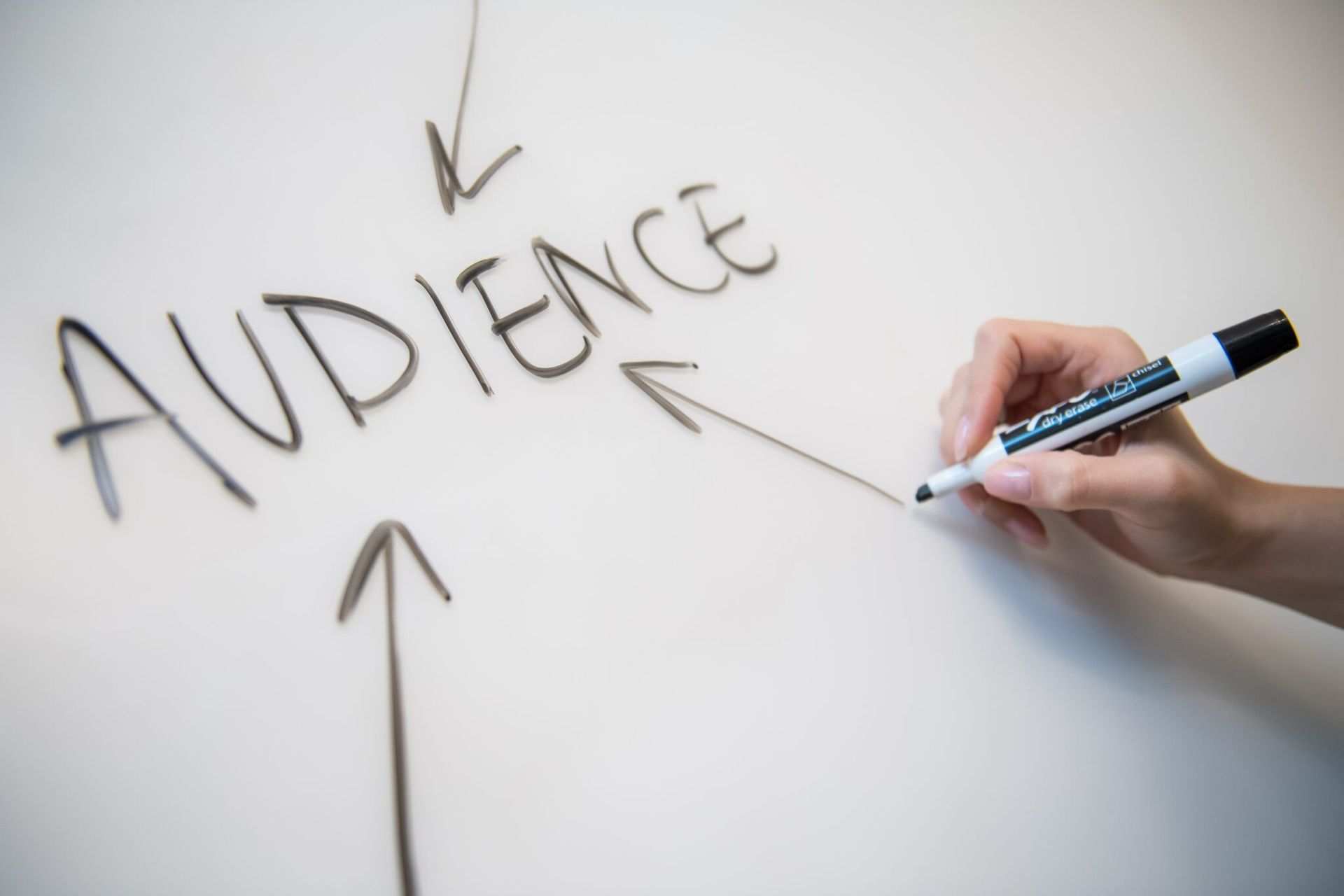 A person is writing the word audience on a white board