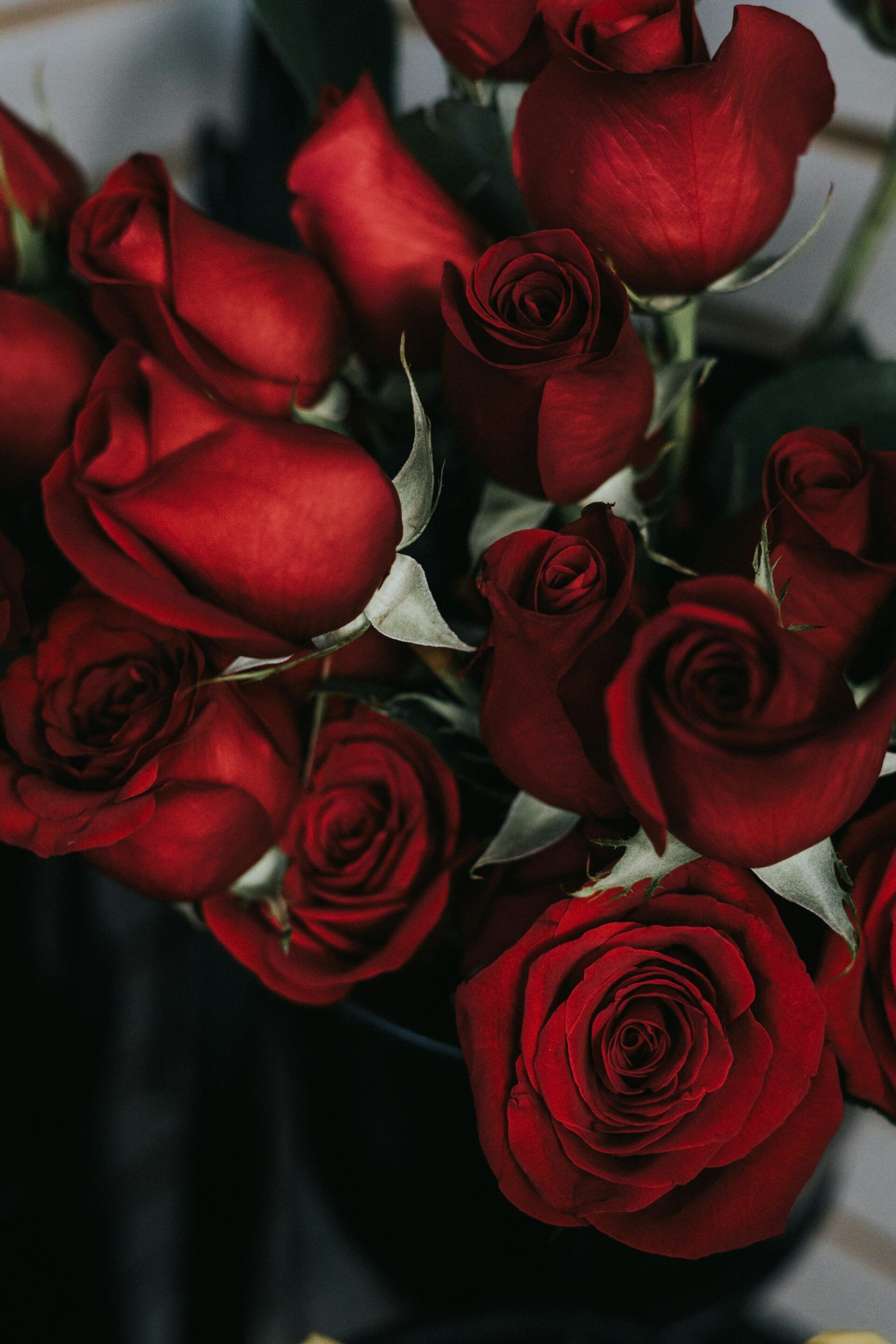 A bunch of red roses in a black vase