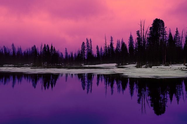 A purple sunset over a lake with trees reflected in the water.