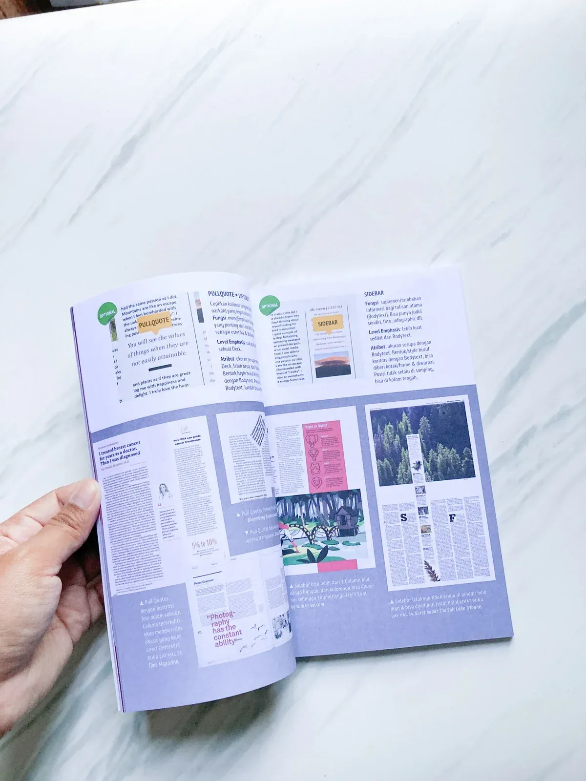 Printed brochures on an automated machine conveyor belt, showing a colorful bird image.