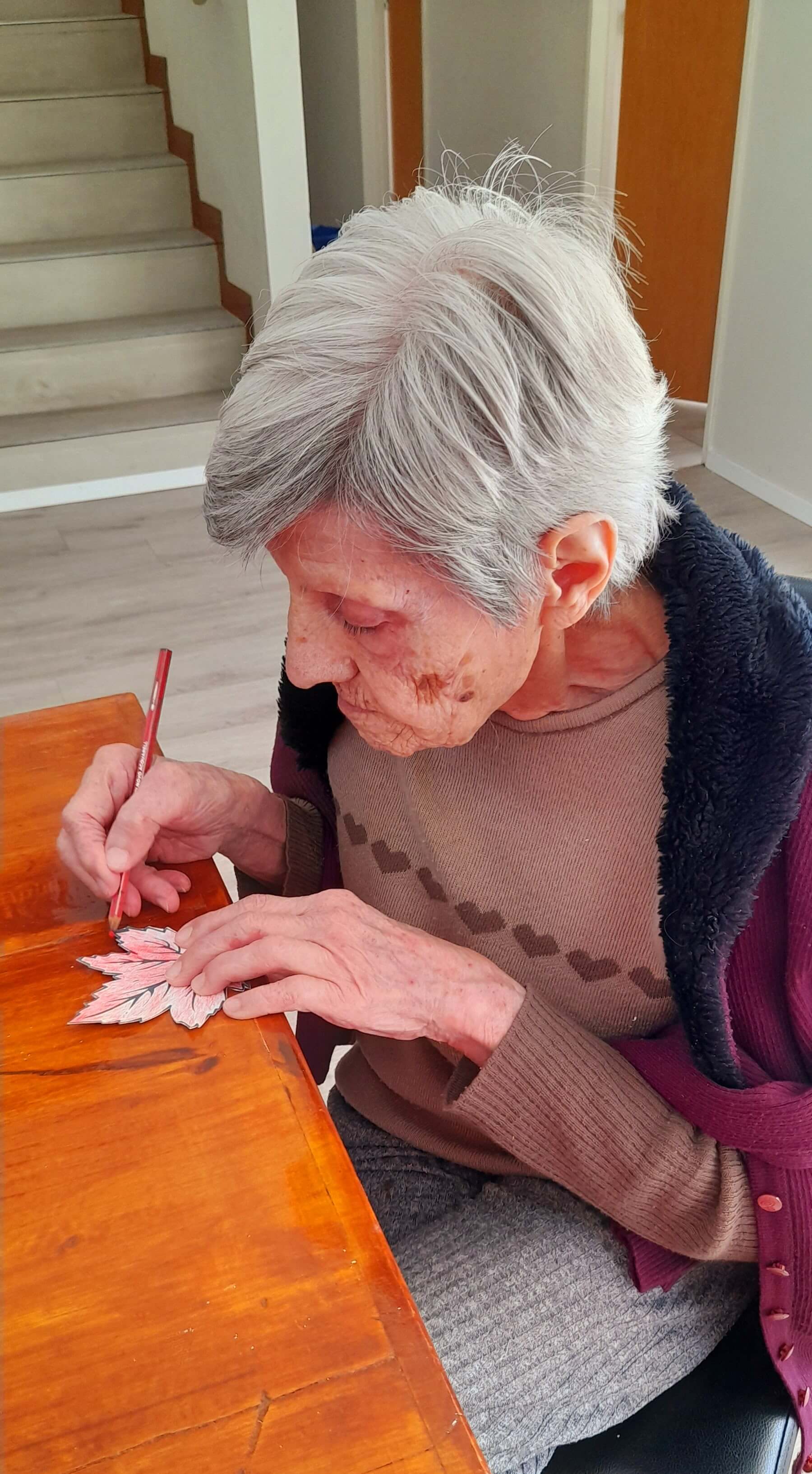 Residencia Carlos Pellegrini