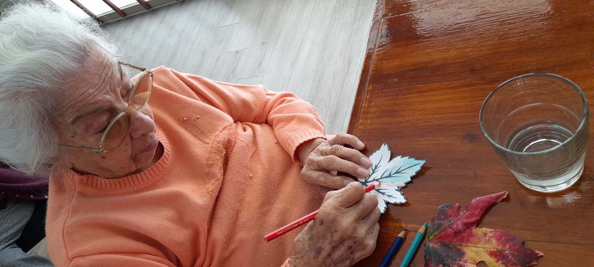 Residencia Carlos Pellegrini