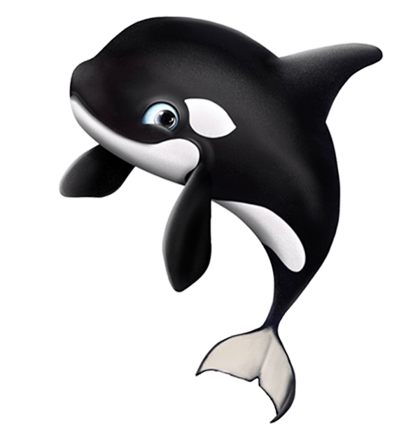 A cartoon killer whale is jumping out of the water
