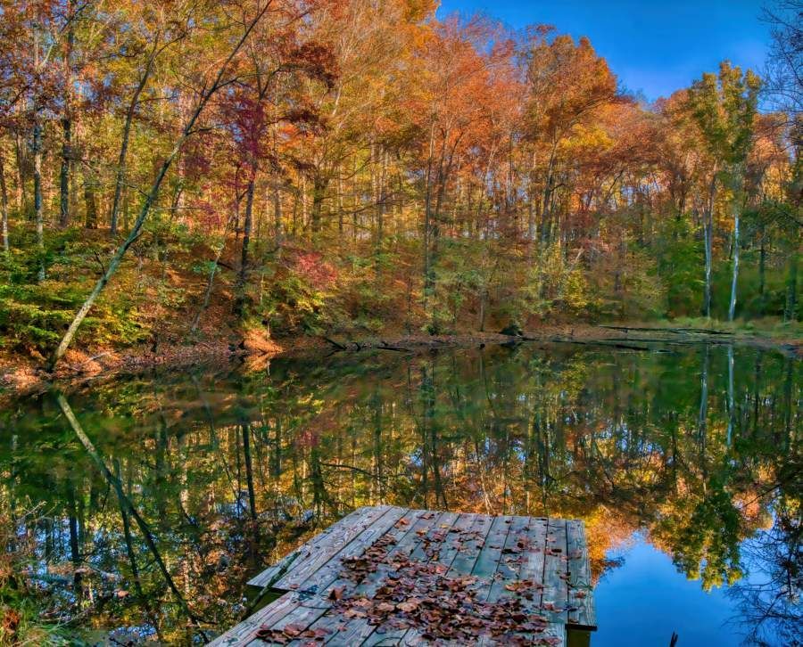Large pond on lower part of property in the fall.