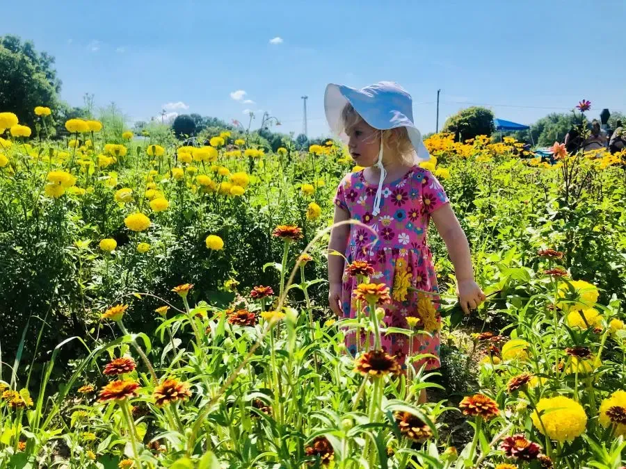 Pick Your Flower Garden in Joelton TN