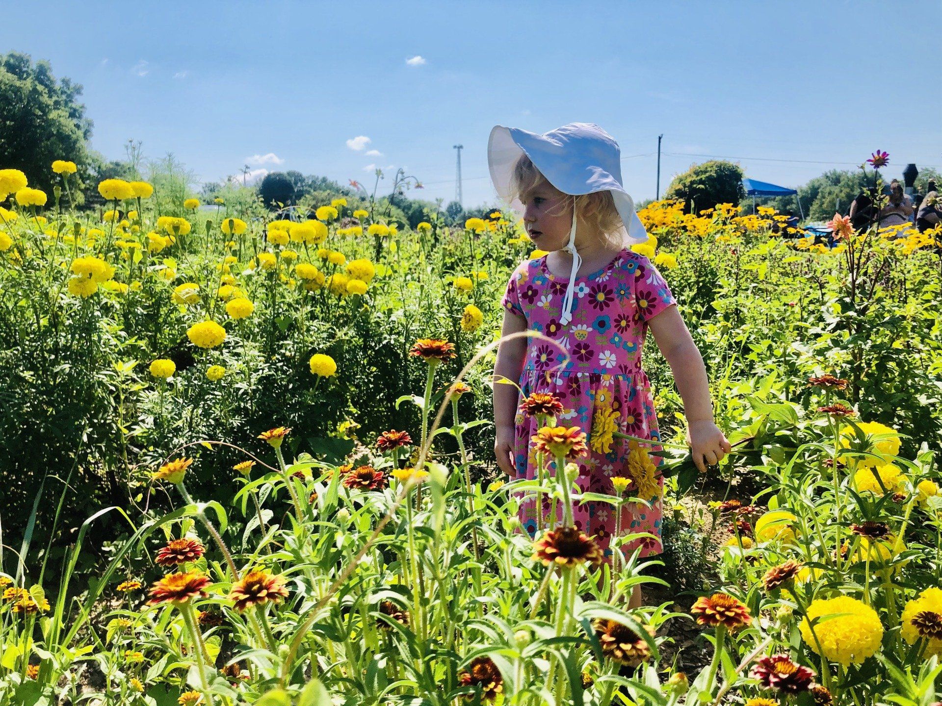 Pick Your Flower Garden in Joelton TN