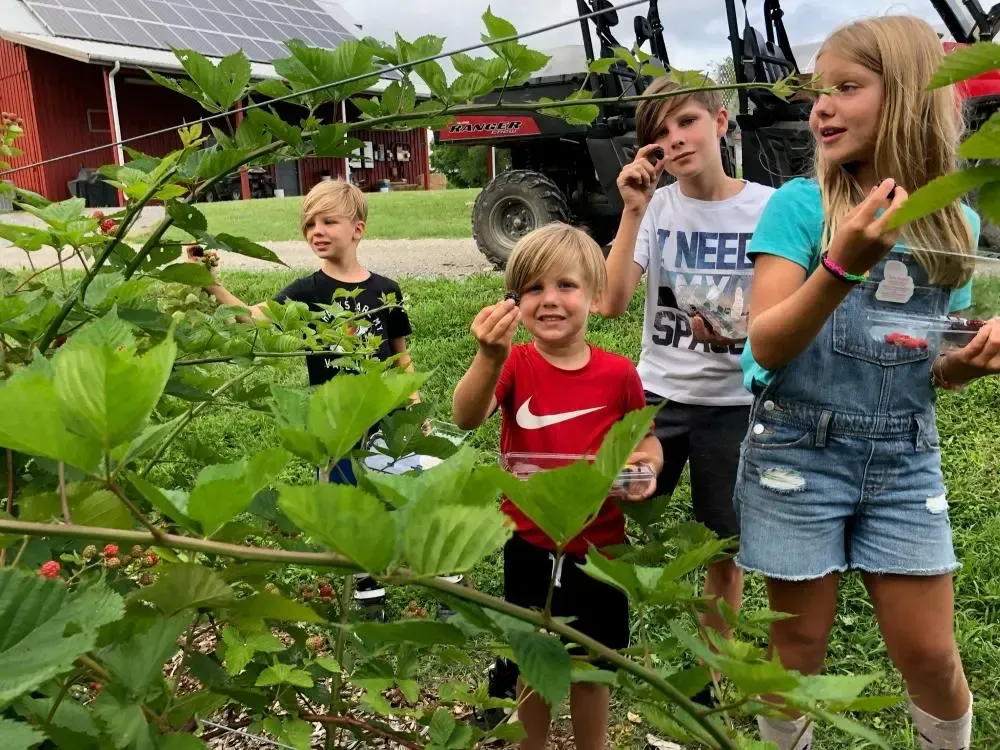 By Faith Farm Volunteers