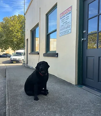 Pippa | Goulburn, NSW | Rapid Auto Repair