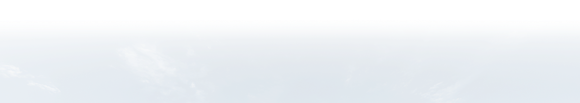 A small, brown, long-haired dog sits on a carpeted floor, holding a round, beige squeaky toy in its mouth. | Russell's Garage