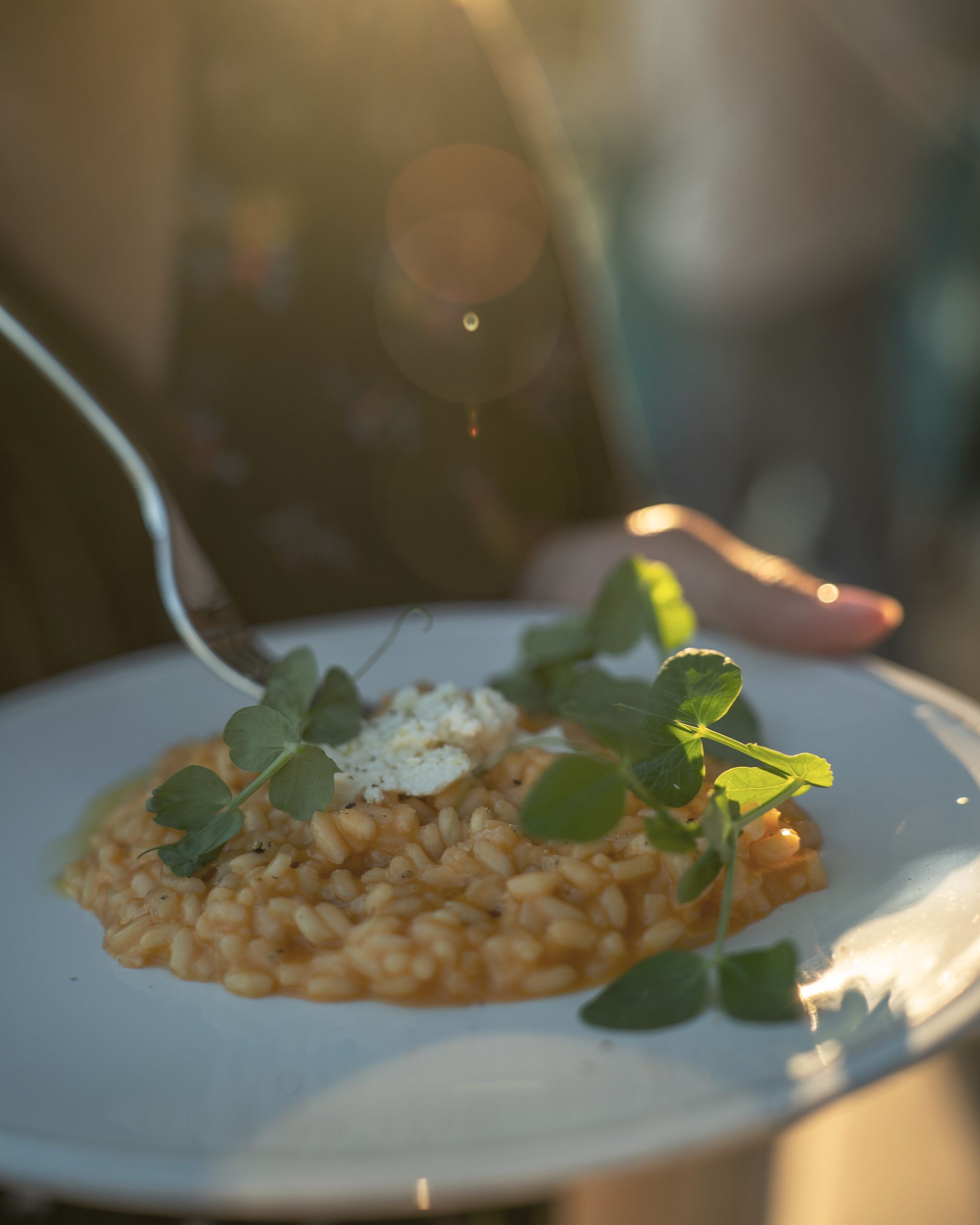 A person is holding a plate of food with a fork in it