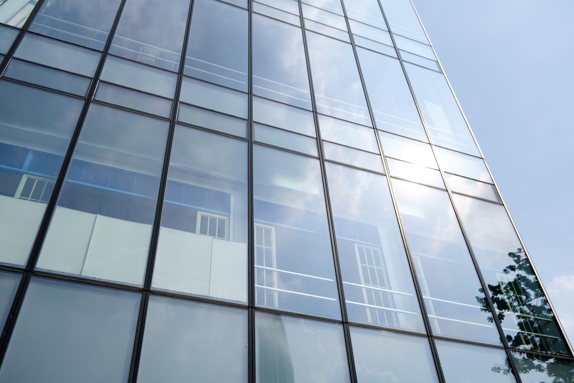 Stanza vuota con finestra e pianta; la luce filtra attraverso le tende sul pavimento in legno.