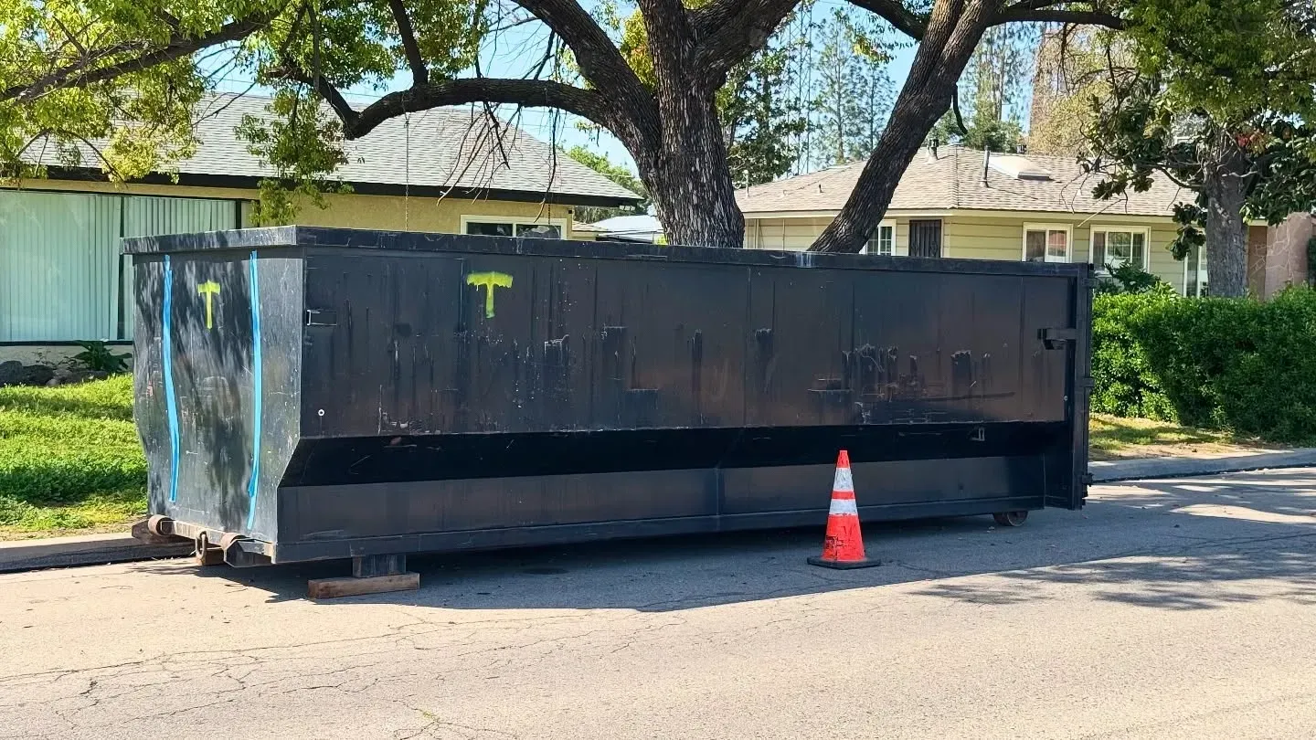 Black dumpster on asphalt street, orange traffic cone, tree, and house in the background.
