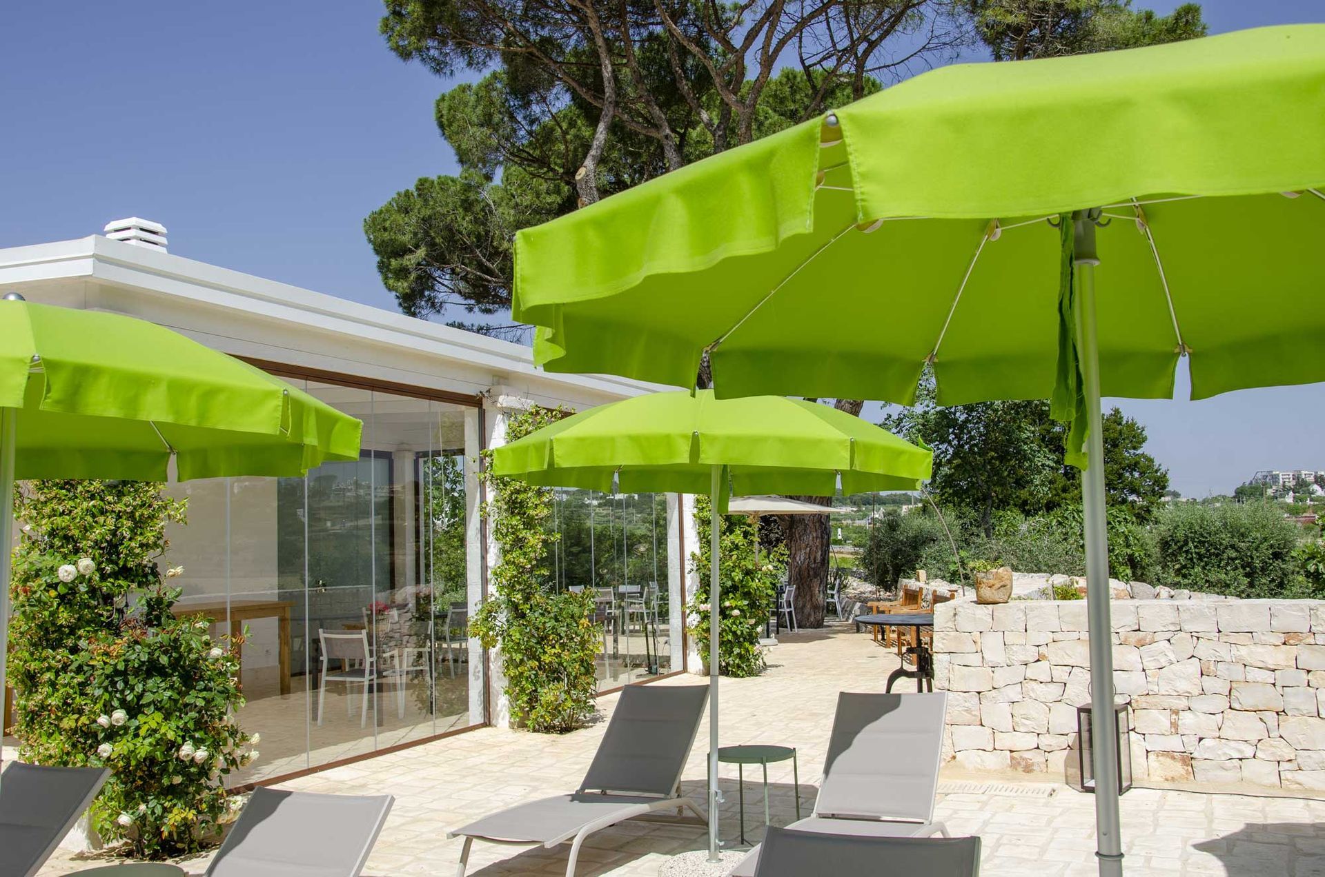 sdraio con ombrelloni in un giardino privato