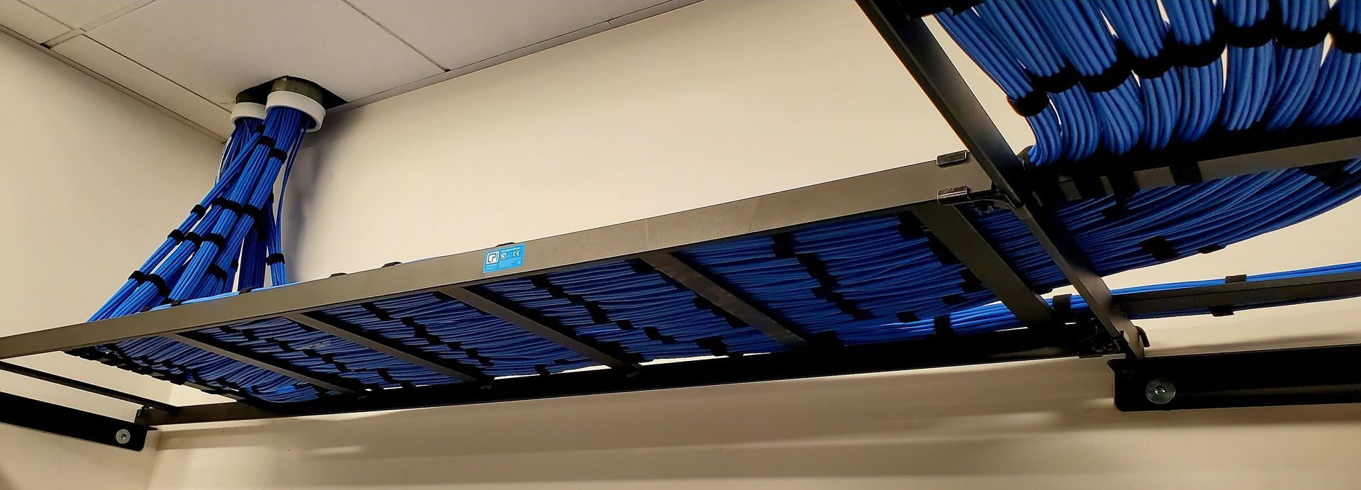 Blue network cables bundled and organized on black cable trays mounted on a white wall.