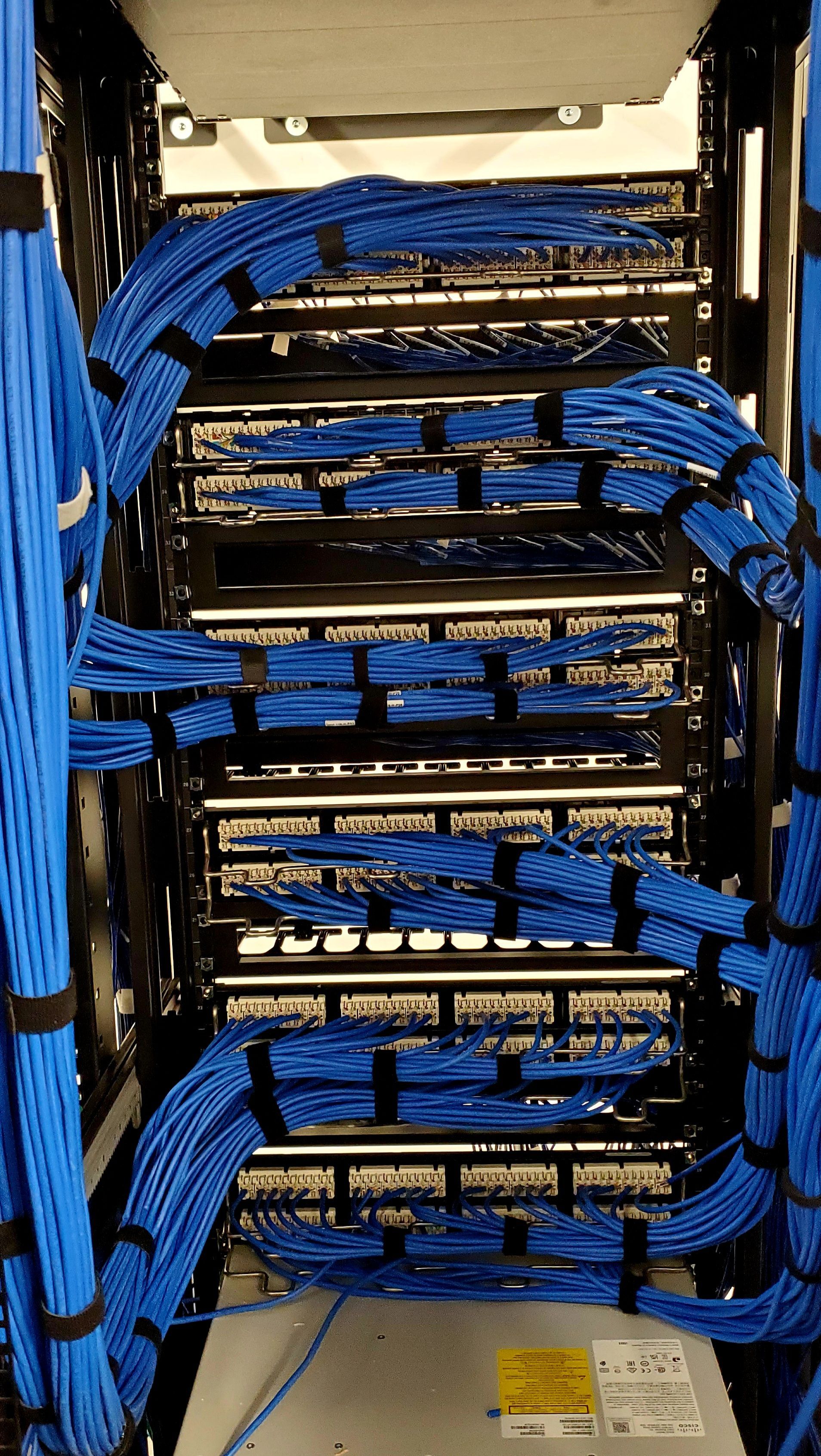 Blue network cables neatly bundled within a server rack, forming organized arches.