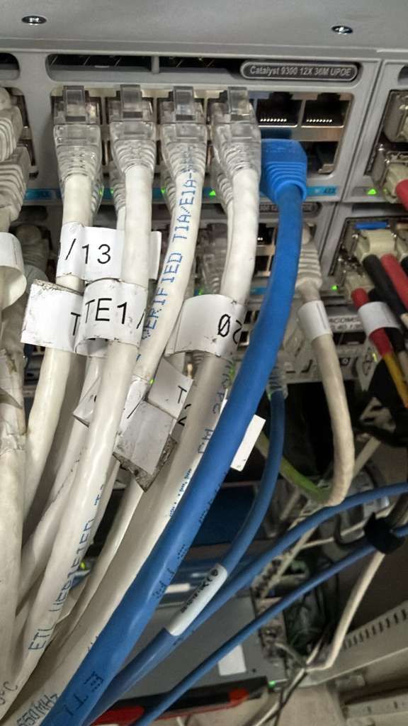 Network switch with several Ethernet cables plugged in; blue and white cables labeled.