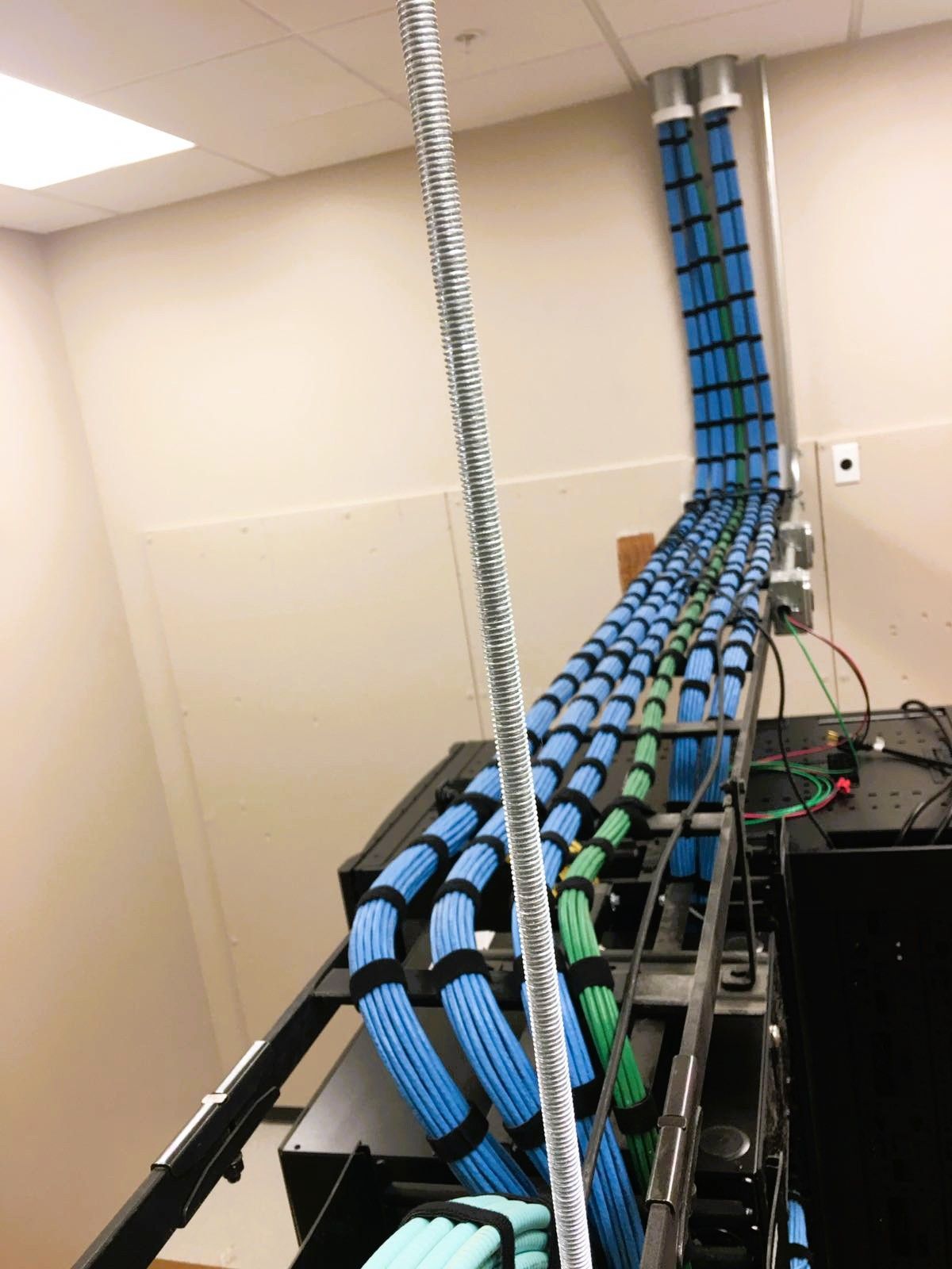 Cables bundled and routed along a rack in a server room; blue and green cables ascend to the ceiling.
