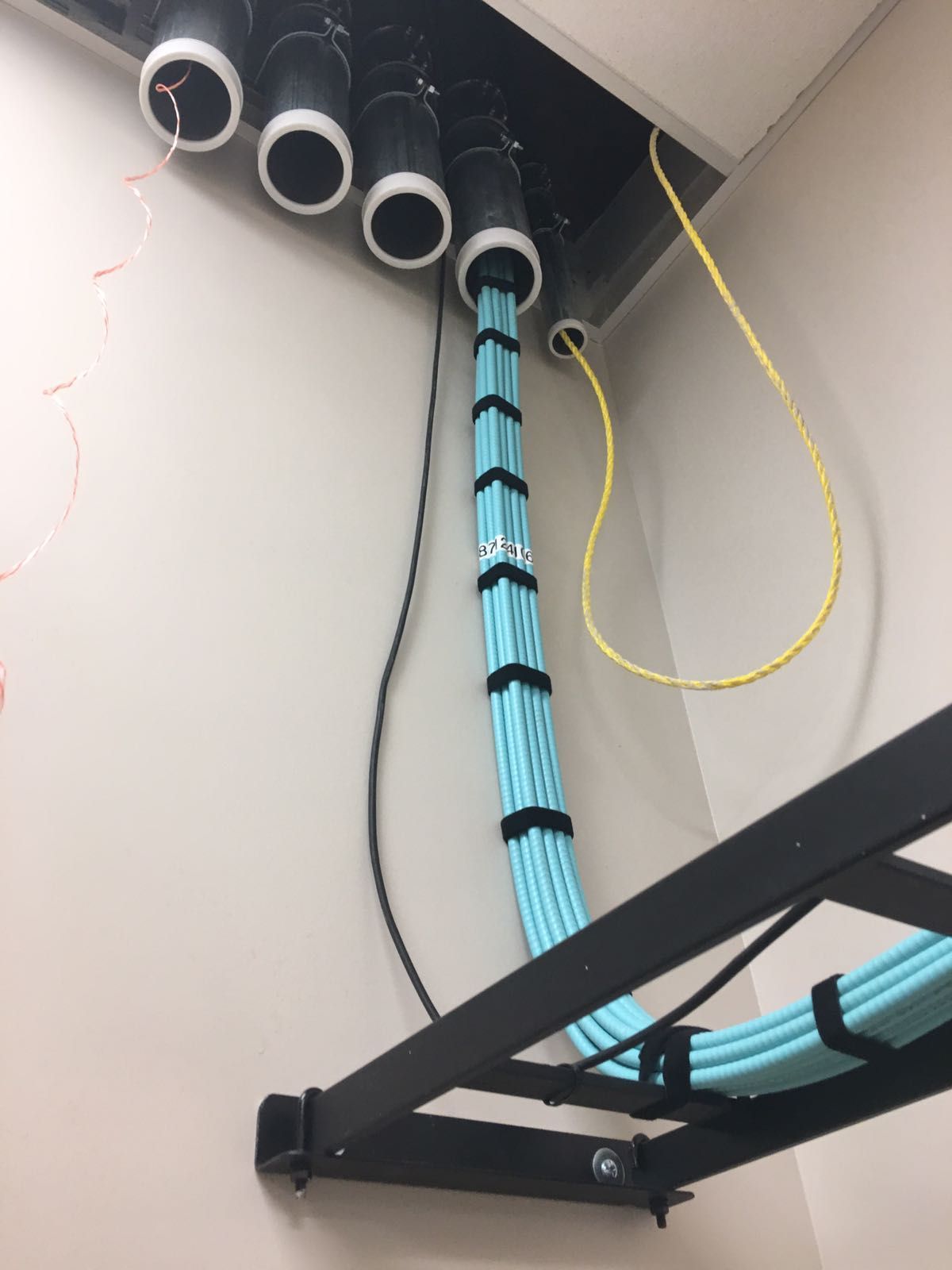 Cables bundle, dropping from ceiling. Blue cables are secured with black straps and rest on a black cable tray.