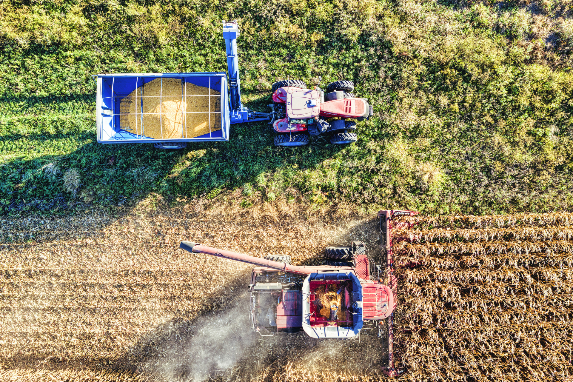 Yellow road graders parked on a dirt road, sunny outdoor setting.