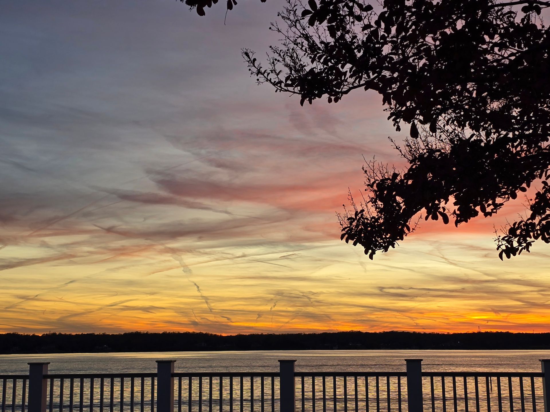 A woman wearing an apron and a white shirt is smiling in front of a plant.