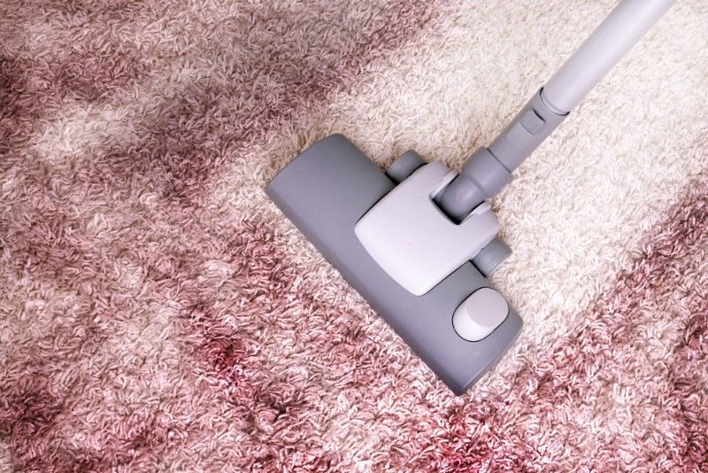 Vacuum Cleaner Head Cleaning a Pink and White Patterned Rug — Mo Property Cleaning in Weston Creek, ACT