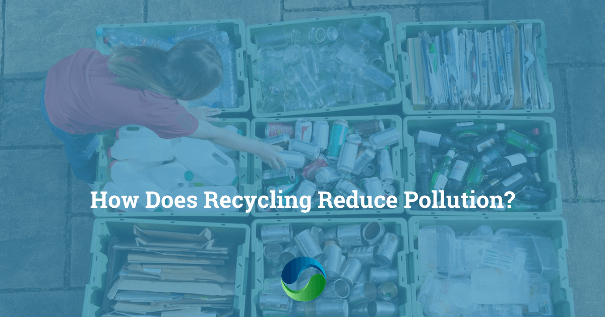 putting recycling in recycling bins