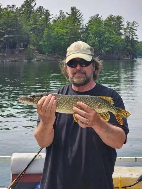 A living room with a couch and ottoman and yellow cabinets