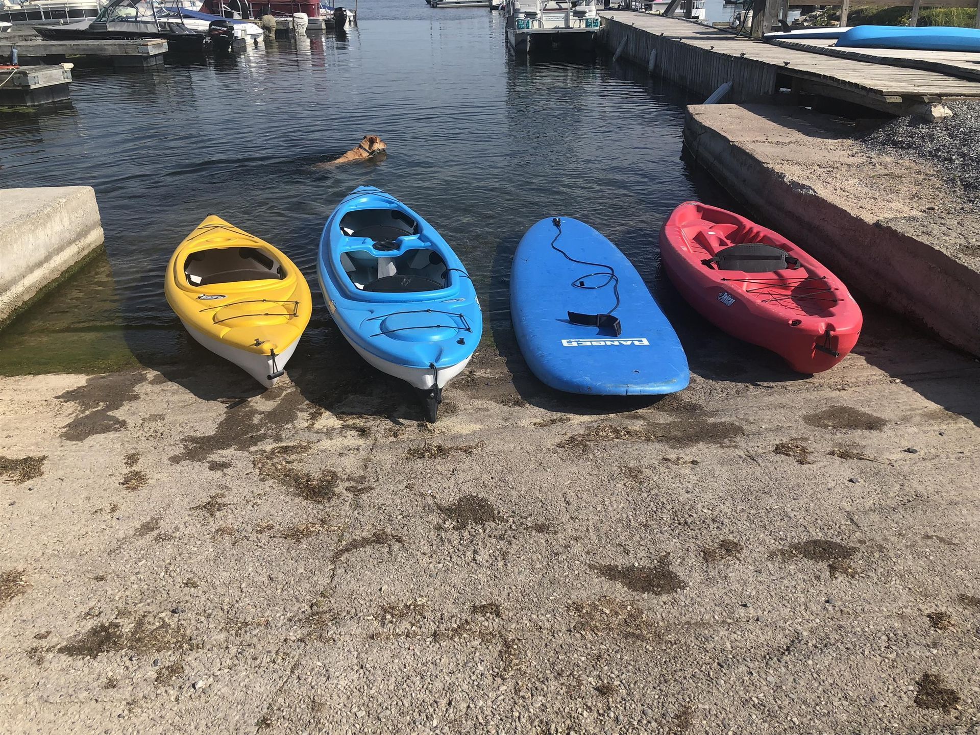 Four kayaks are lined up on the shore of a lake