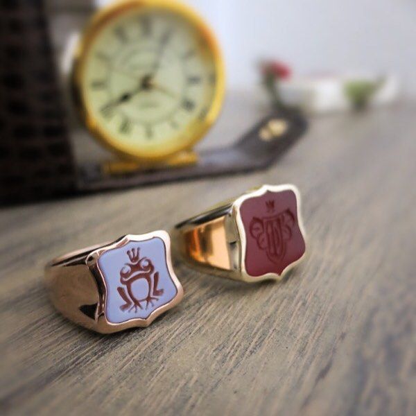 Twee gouden zegelringen met wapenschilden, één lichtblauw met een kikker, één rood met initialen, op een houten ondergrond.