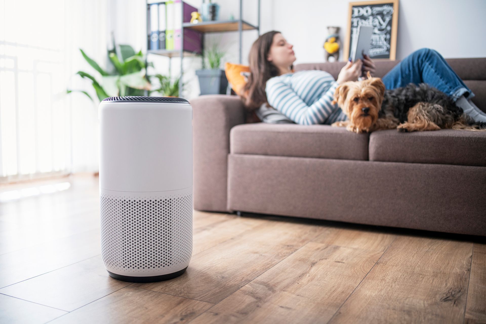 White air purifier in living room; woman & two small dogs on couch.