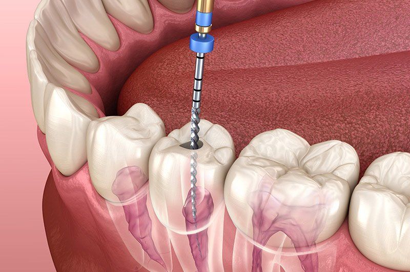 Dentist