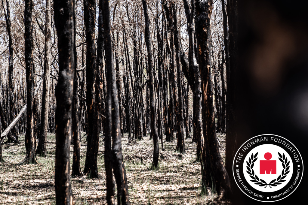 No Blog Image -- Remove This