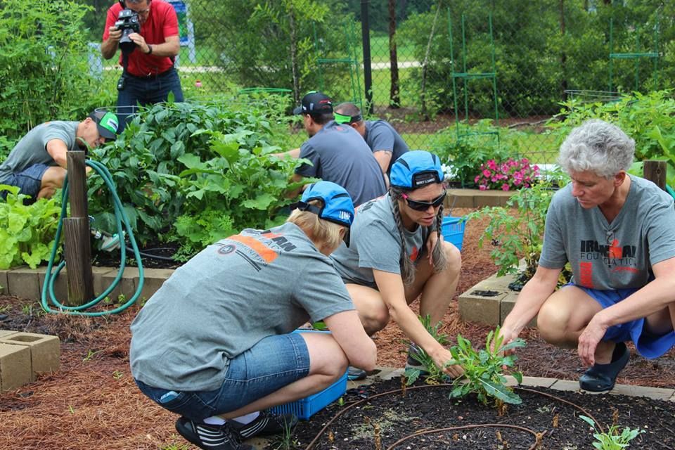 Veggie Village IM TX 2