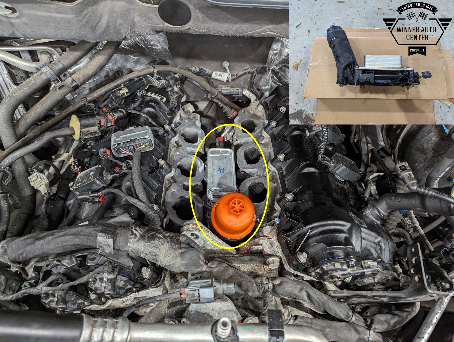 A Close Up of a Car Engine | Winner Auto Center