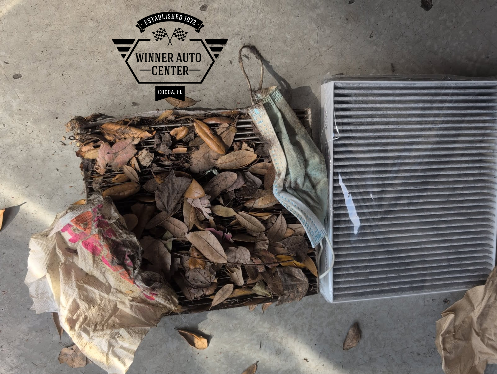 A dirty cabin air filter removed from a car | Winner Auto Center