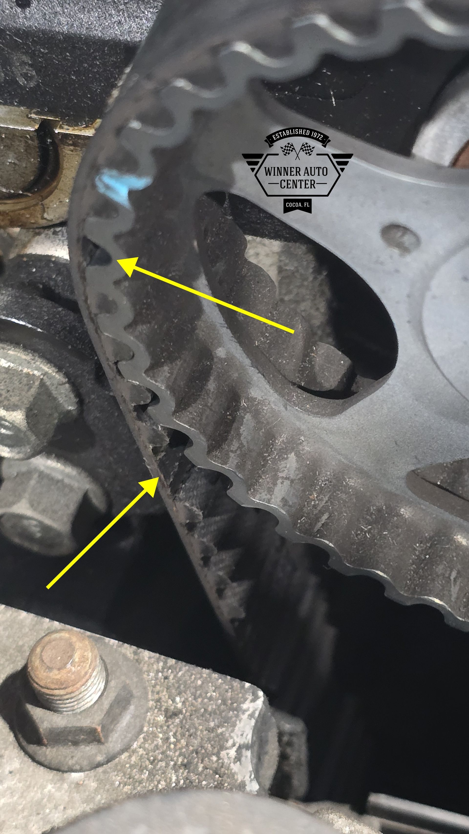 Close-up of a car's timing belt | Winner Auto Center