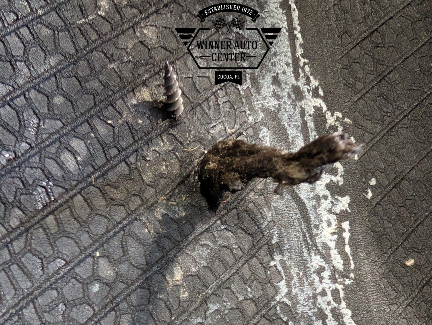 Black tire tread with a snail shell | Winner Auto Center