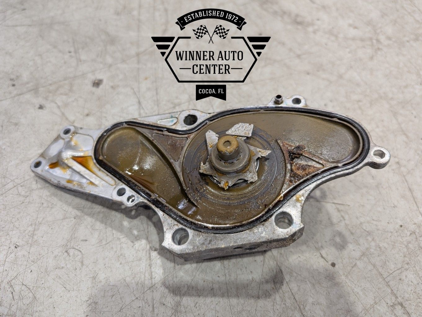 A disassembled car water pump | Winner Auto Center