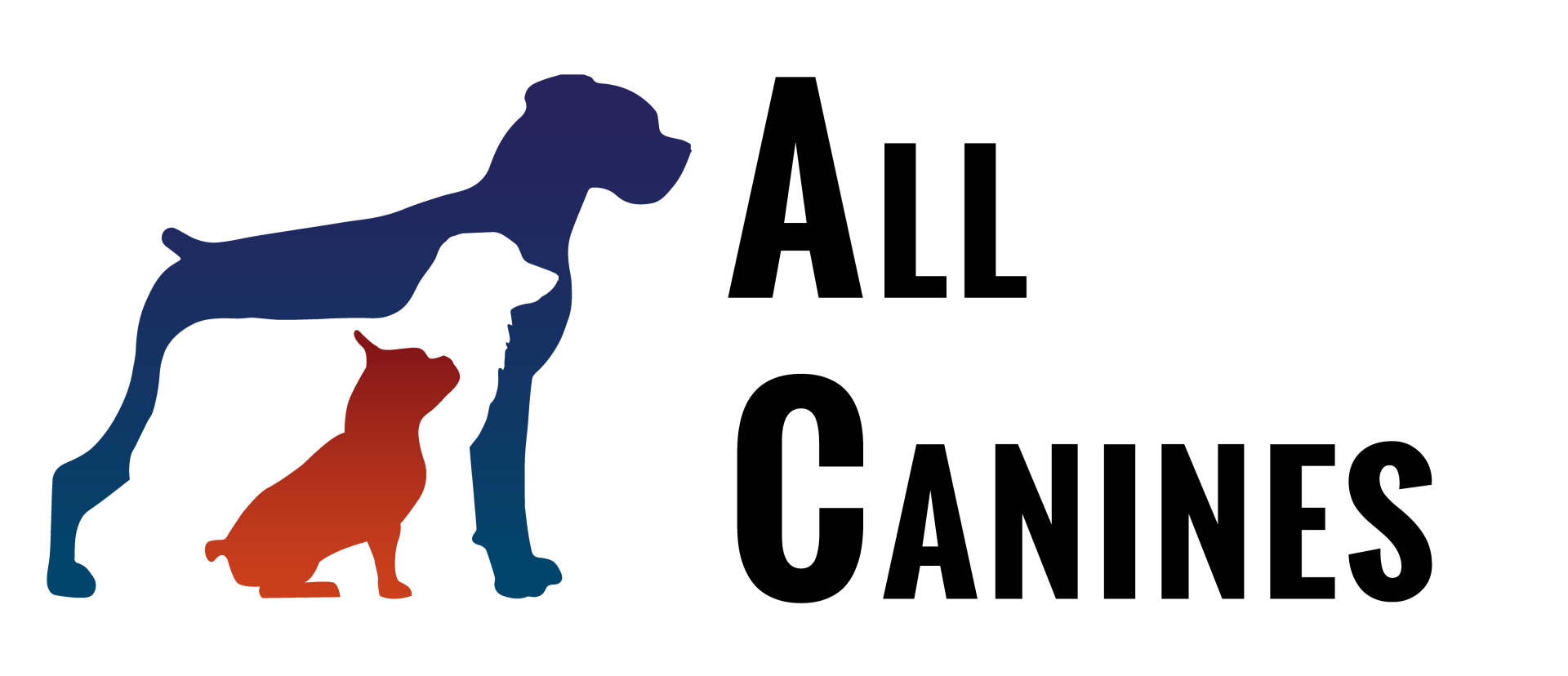 Dog Training Philadelphia, PA