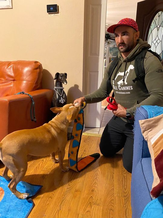 Dog Training Philadelphia, PA