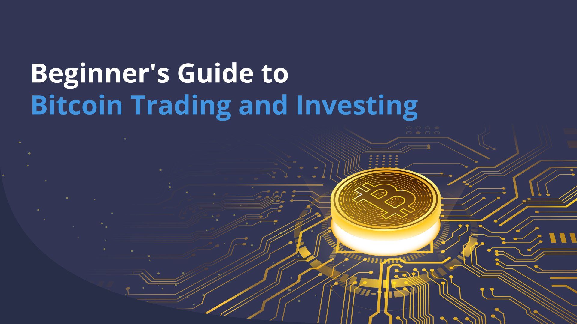 guide to bitcoin trading