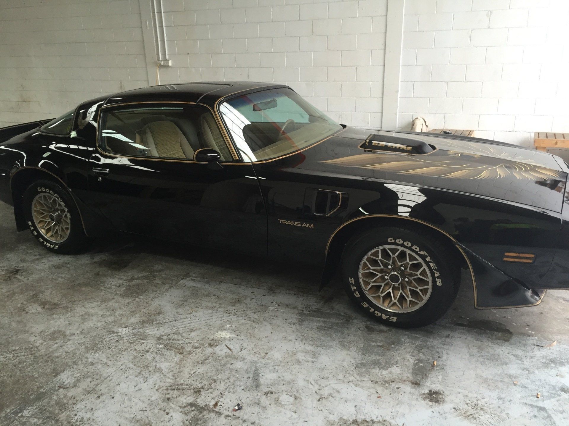 Ceramic Paint Protection Coatings Application Service Latest Nano Technology