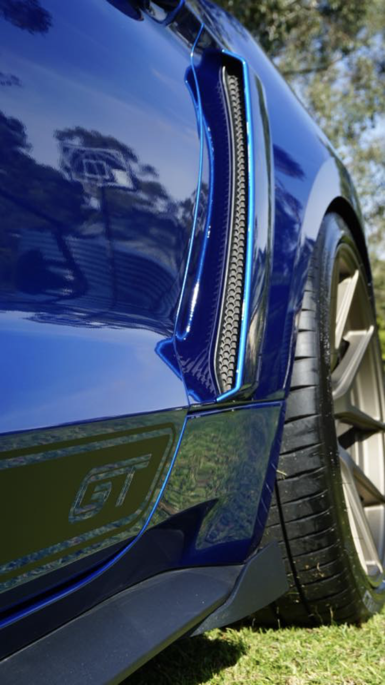 Ceramic Paint Protection Coatings Application Service