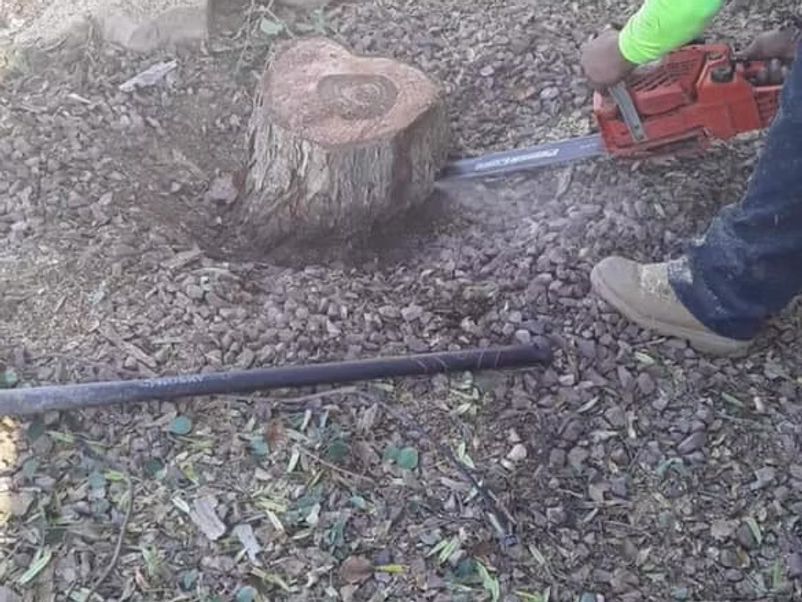 Person cutting a tree stump with a chainsaw on a gravel surface.
