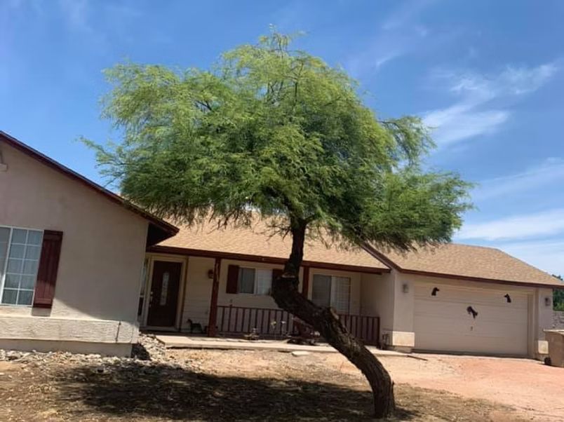 Tan house with brown roof, fronted by a large green tree, against a blue sky.