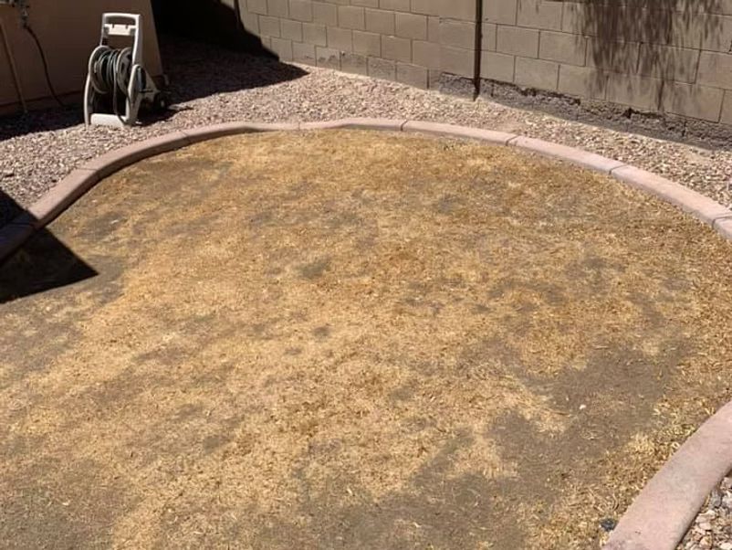 An empty, circular yard bed with a concrete border, covered in brown mulch.